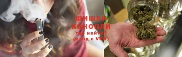 крисы Баксан