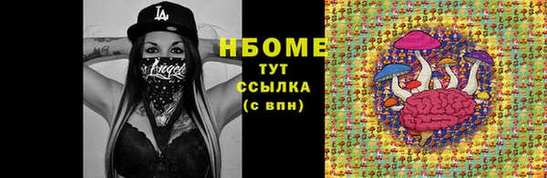 крисы Баксан