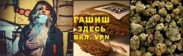 крисы Баксан