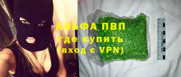 крисы Баксан